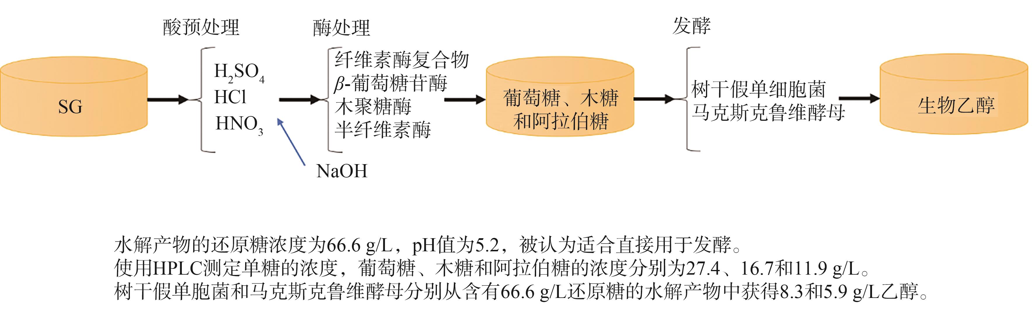 第二代生物乙醇制备研究进展