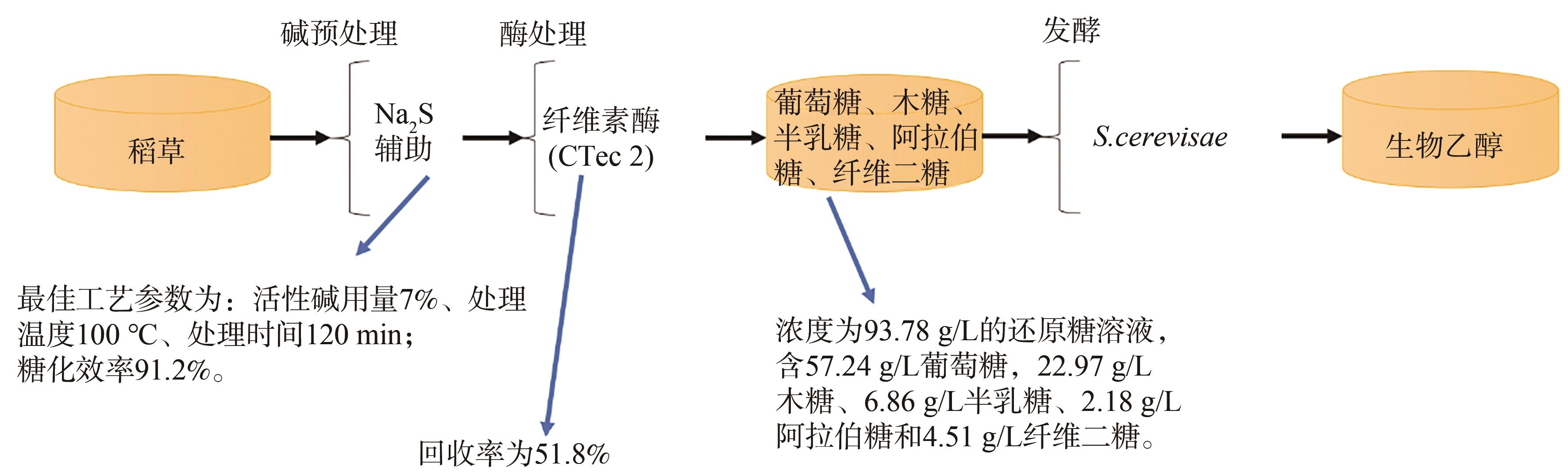 第二代生物乙醇制备研究进展